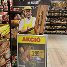 Spar belső megújulás